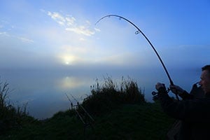 Специализирани въдици Specialist