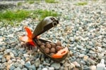 PL Airbomb Ракета